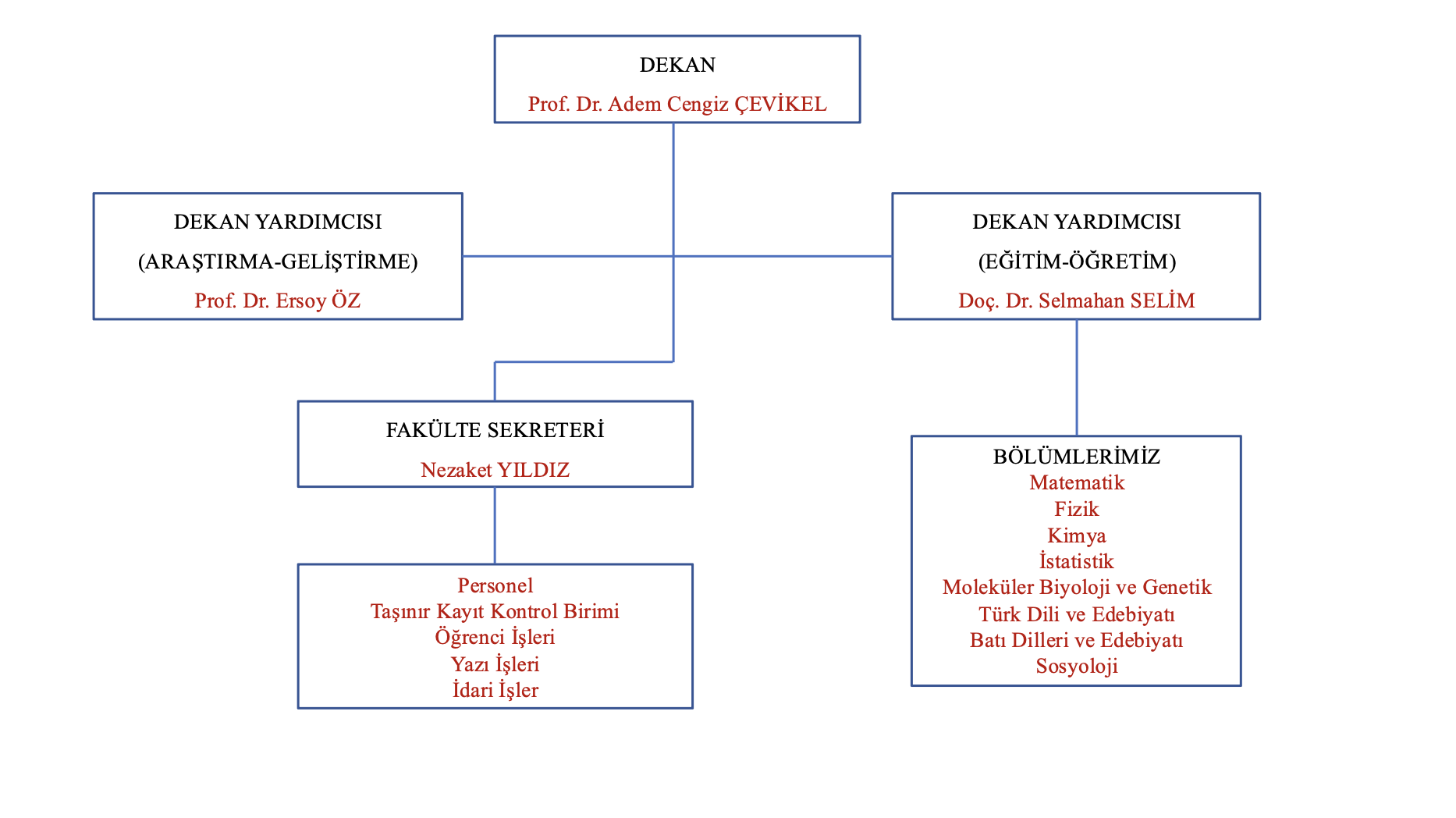 Org. Şeması